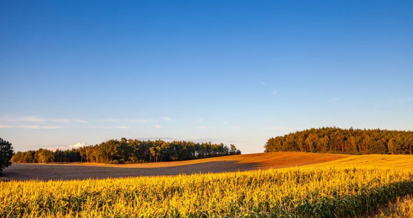 Gemeinde Holdorf im Oldenburger Münsterland