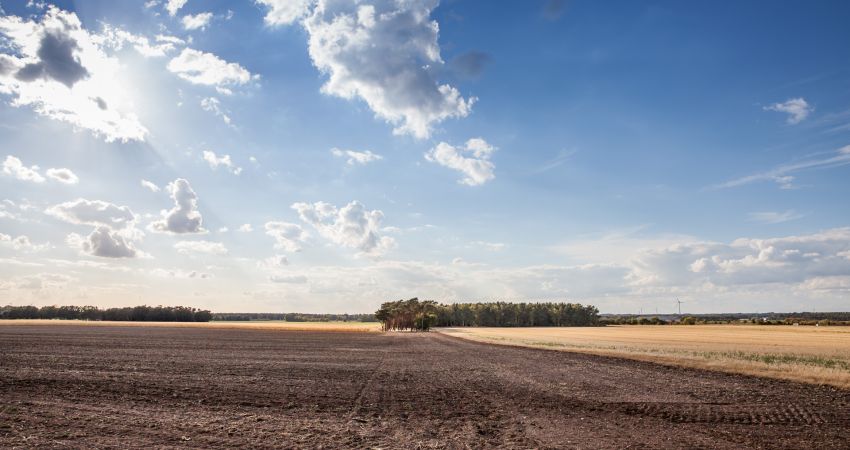 Gemeinde Steinfeld im Oldenburger Münsterland