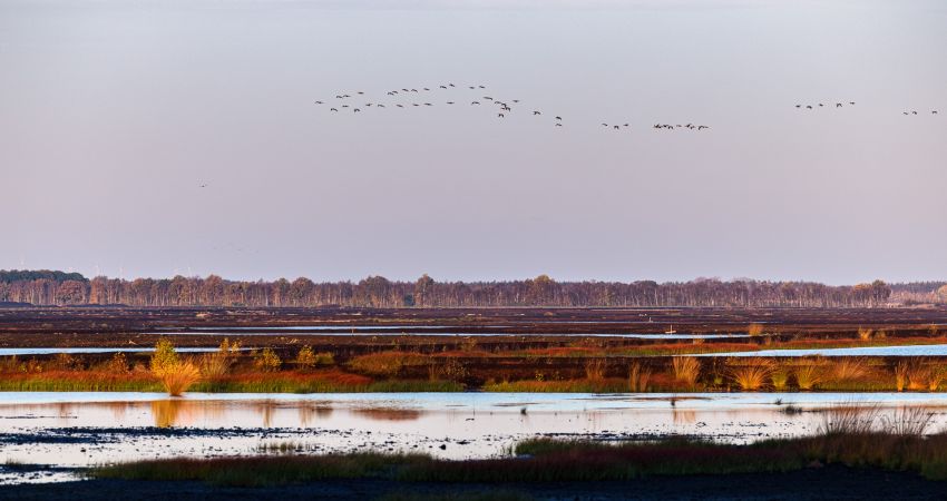 In der Natur auf dem Land in Bösel wohnen