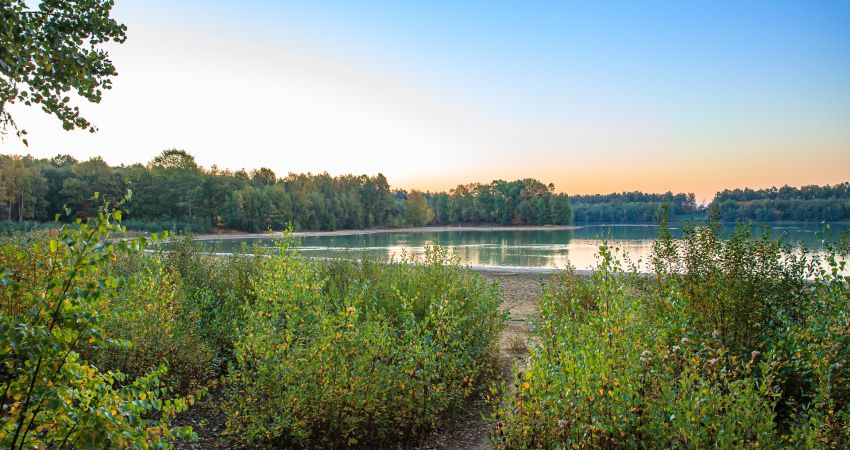 Idyllisch wohnen auf dem Land in Damme