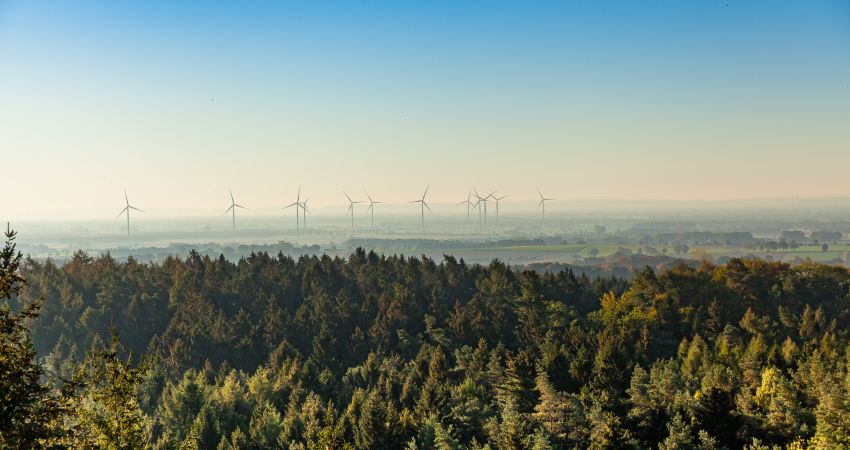 Naturnah und familienfreundlich auf dem Land in Damme im OM wohnen