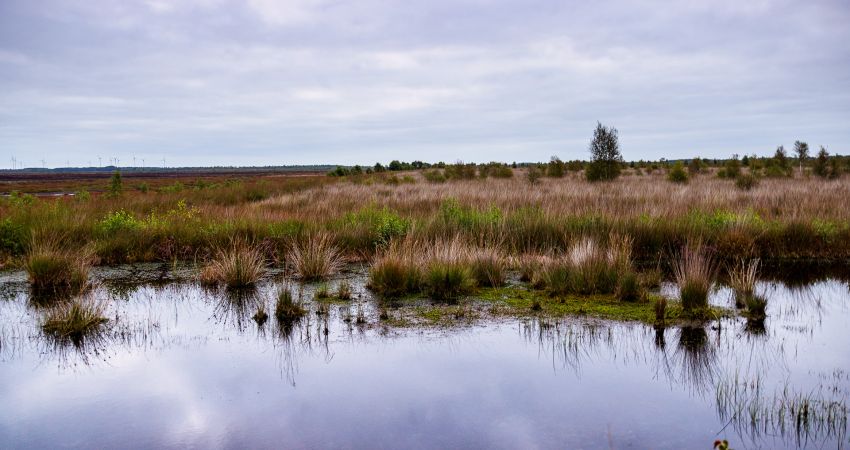 Naturnah und familienfreundlich auf dem Land im Saterland im OM wohnen