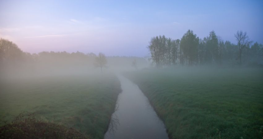 Den Sommer auf dem Land in Garrel früh morgens auf dem Rad genießen