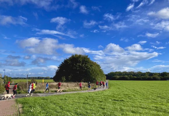 Mehrere Personen und Hunde laufen im Oldenburger Münsterland