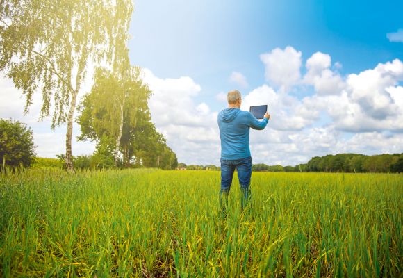 Mann mit Tablet auf einer Wiese