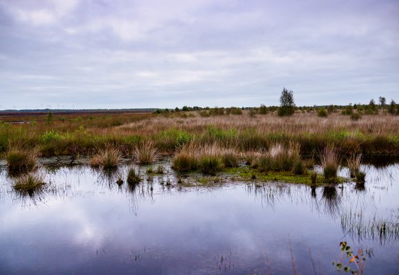 Naturnah und familienfreundlich auf dem Land im Saterland im OM wohnen